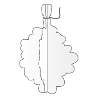 Hanging-Mistletoe