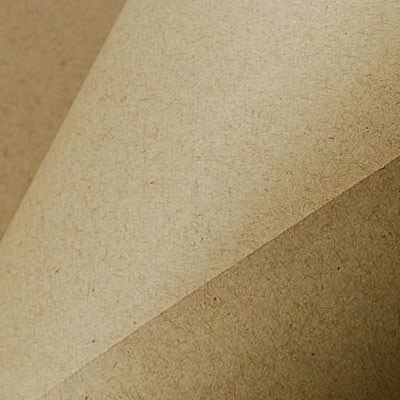 ENVIRONMENT Desert Storm