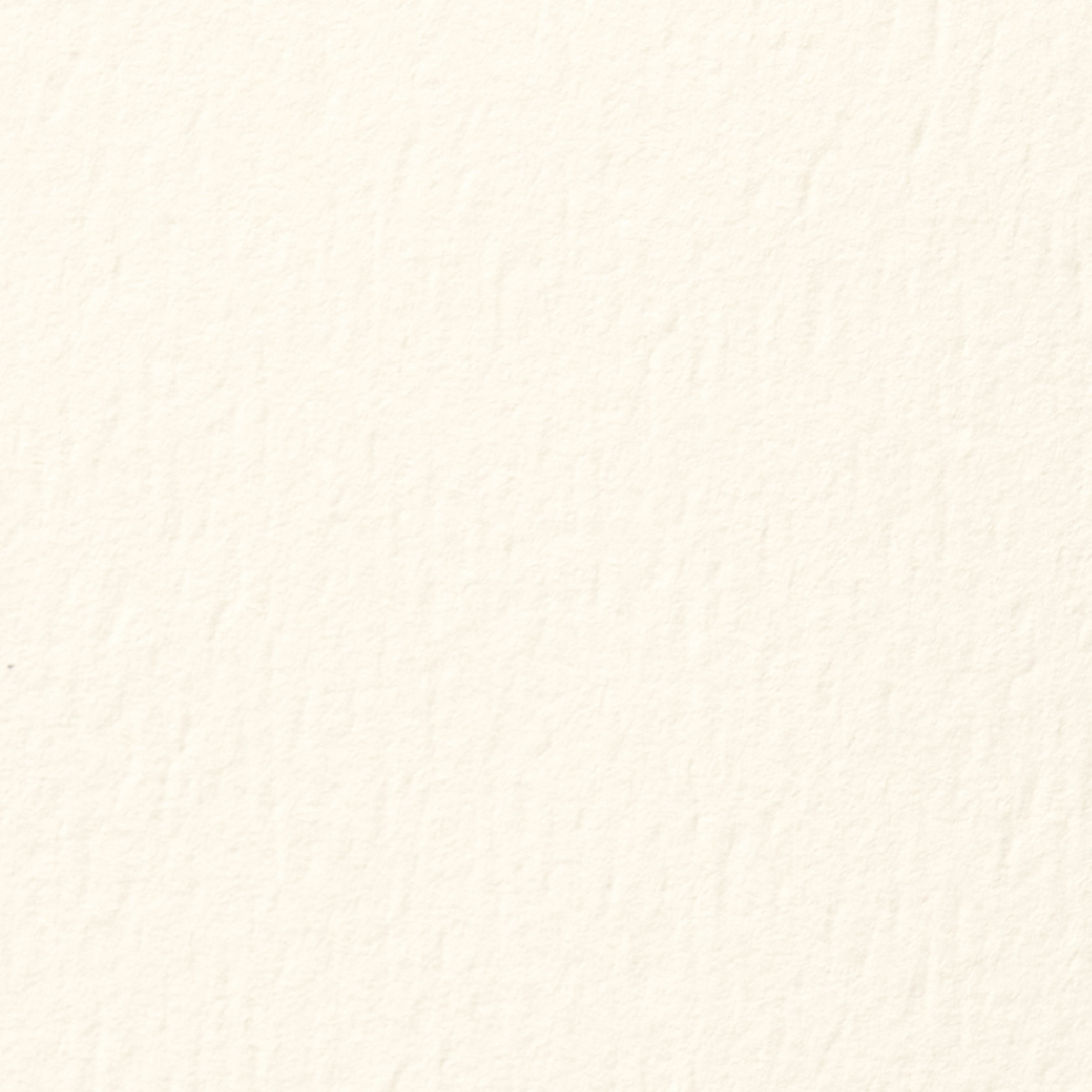 Classic Natural White Felt