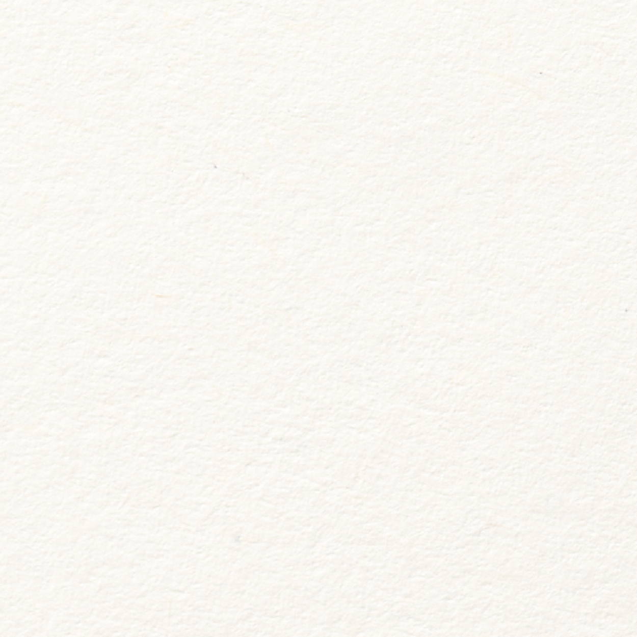 ESTATE LABEL No12 PC100 White Vellum