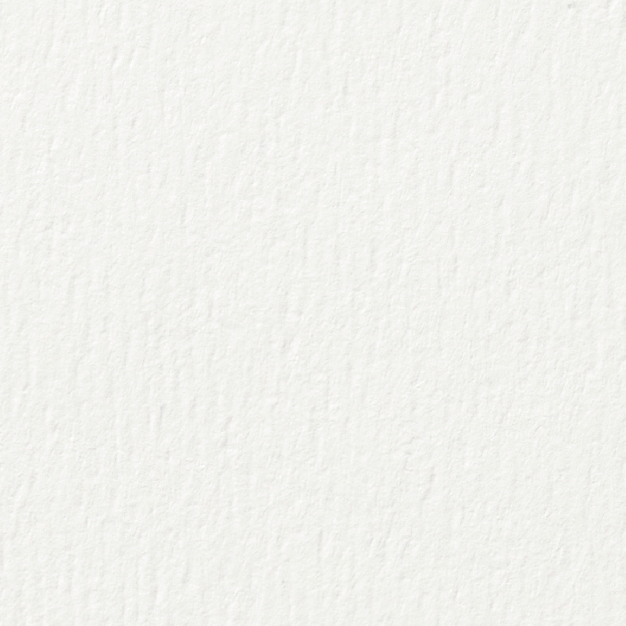 ESTATE LABEL No3 Ultra White Felt