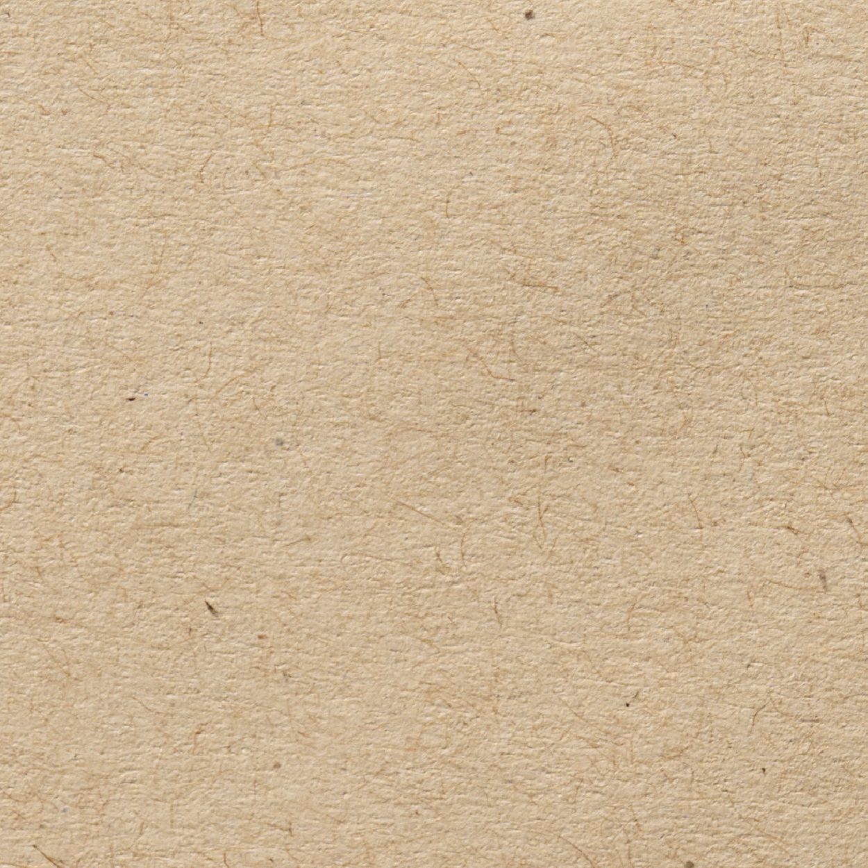 ESTATE LABEL No7 Kraft Vellum