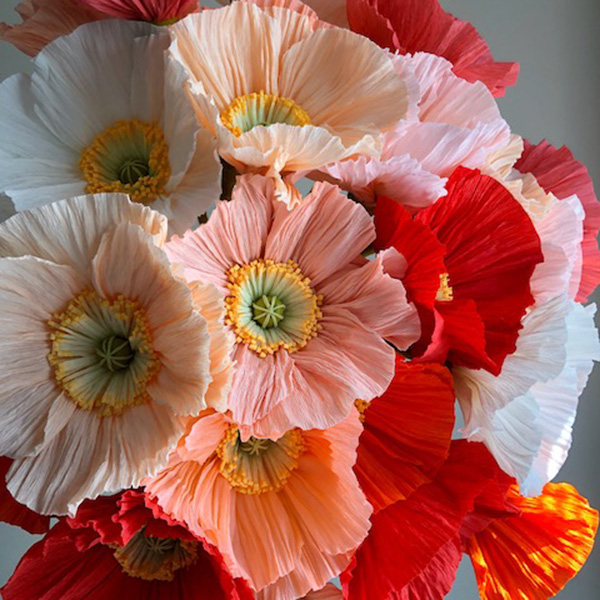 Paper Florals By Emily Paluska