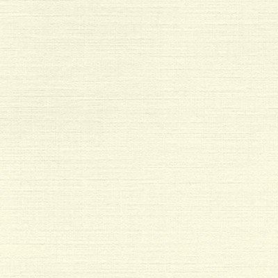 12 x 18 Cardstock - White Linen