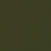product image: corvon-iridescents olive-green-8543 polish