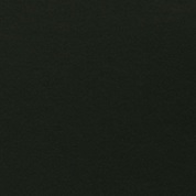 product image: corvon-shimmer black-ice-824 powder