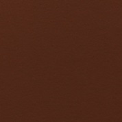 product image: corvon-shimmer chocolate-815 powder