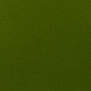 product image: corvon-shimmer peridot-818 powder