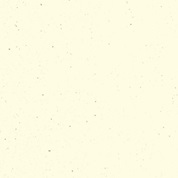 product image: environment-papers tortilla smooth