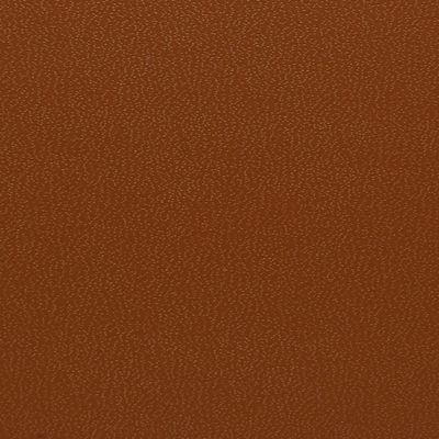 gingerbread kidskin - kivar® 7 - Neenah Paper
