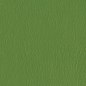 product image: kivar-7 grass corinth