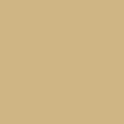 product image: neenah-folding-board desert-storm vellum