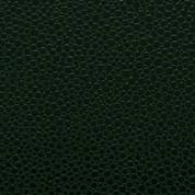 product image: pellaq dark-green-9207 mallory