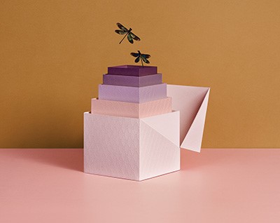 An image with name: related pkg