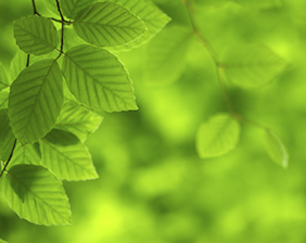 Environmental Calculator